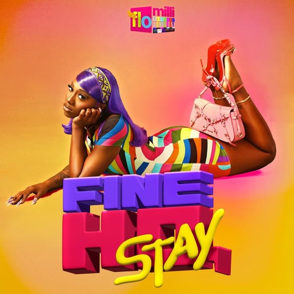 Fine Ho, Stay cover