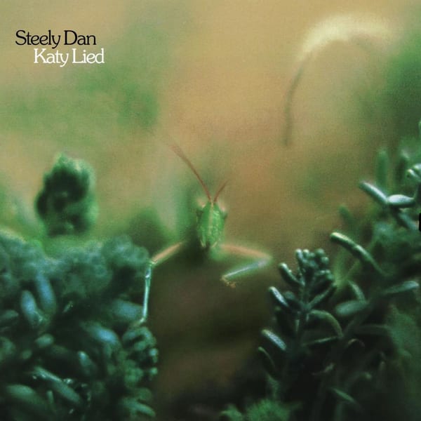 Katy Lied cover