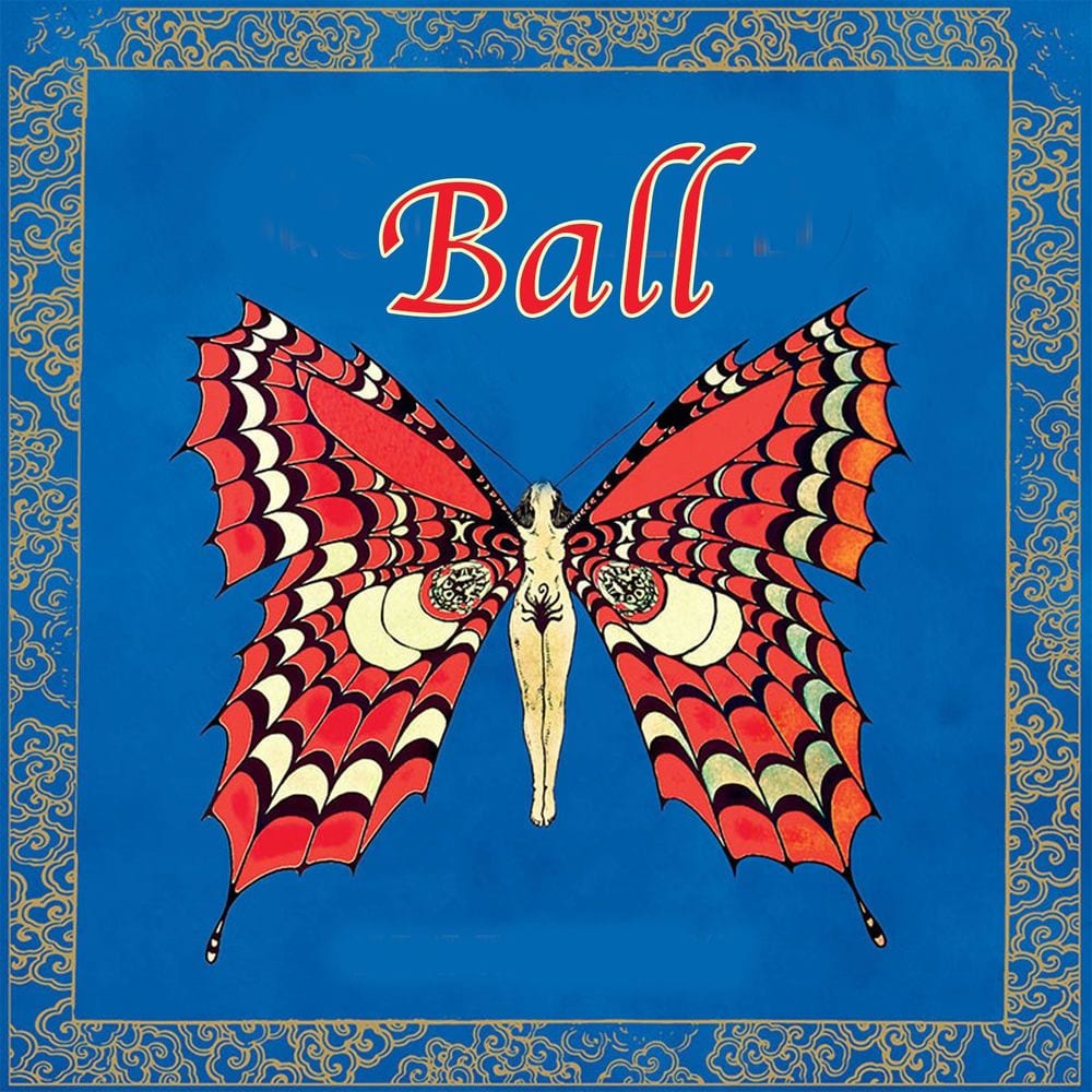 Ball cover