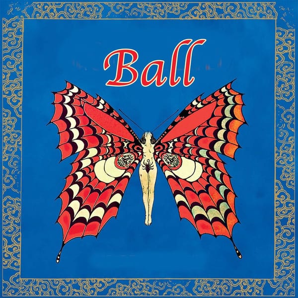 Ball cover