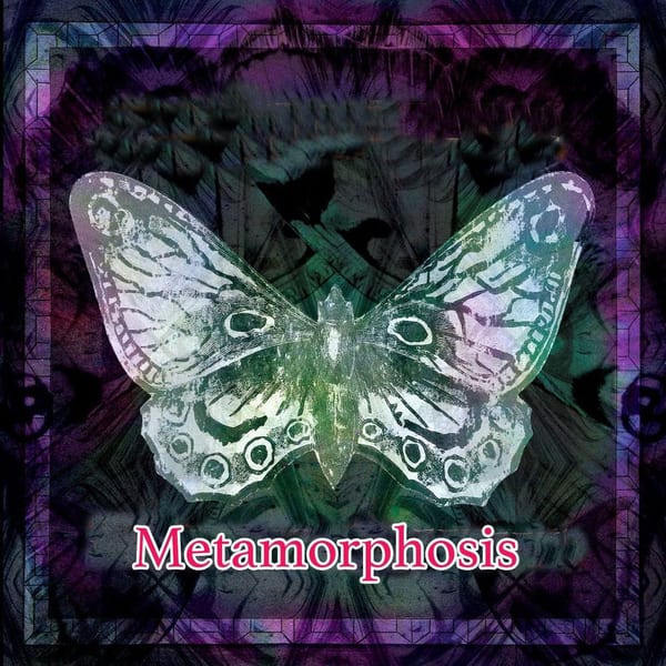 Metamorphosis album cover
