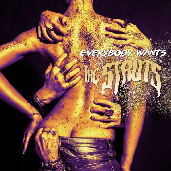 Everybody Wants cover