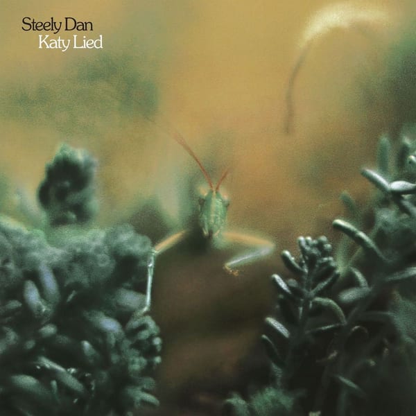 Katy Lied (2025 Remaster) cover