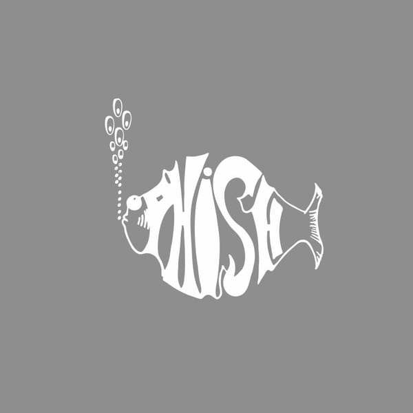 AC/DC Bag by Phish