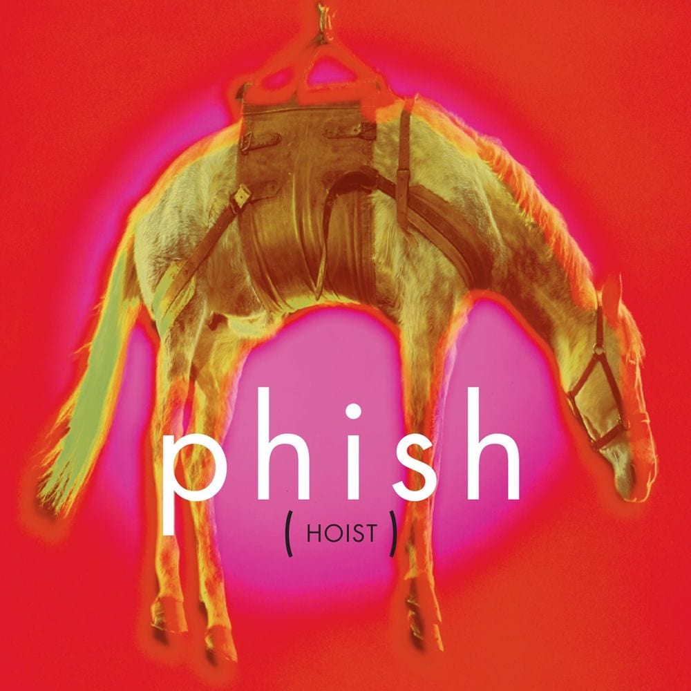 Hoist cover
