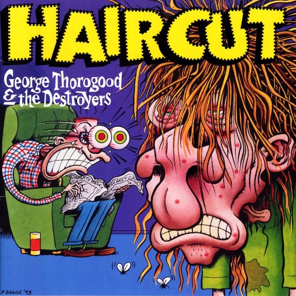 Haircut cover