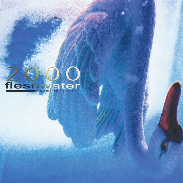 2000: In Search of the Endless Sky cover
