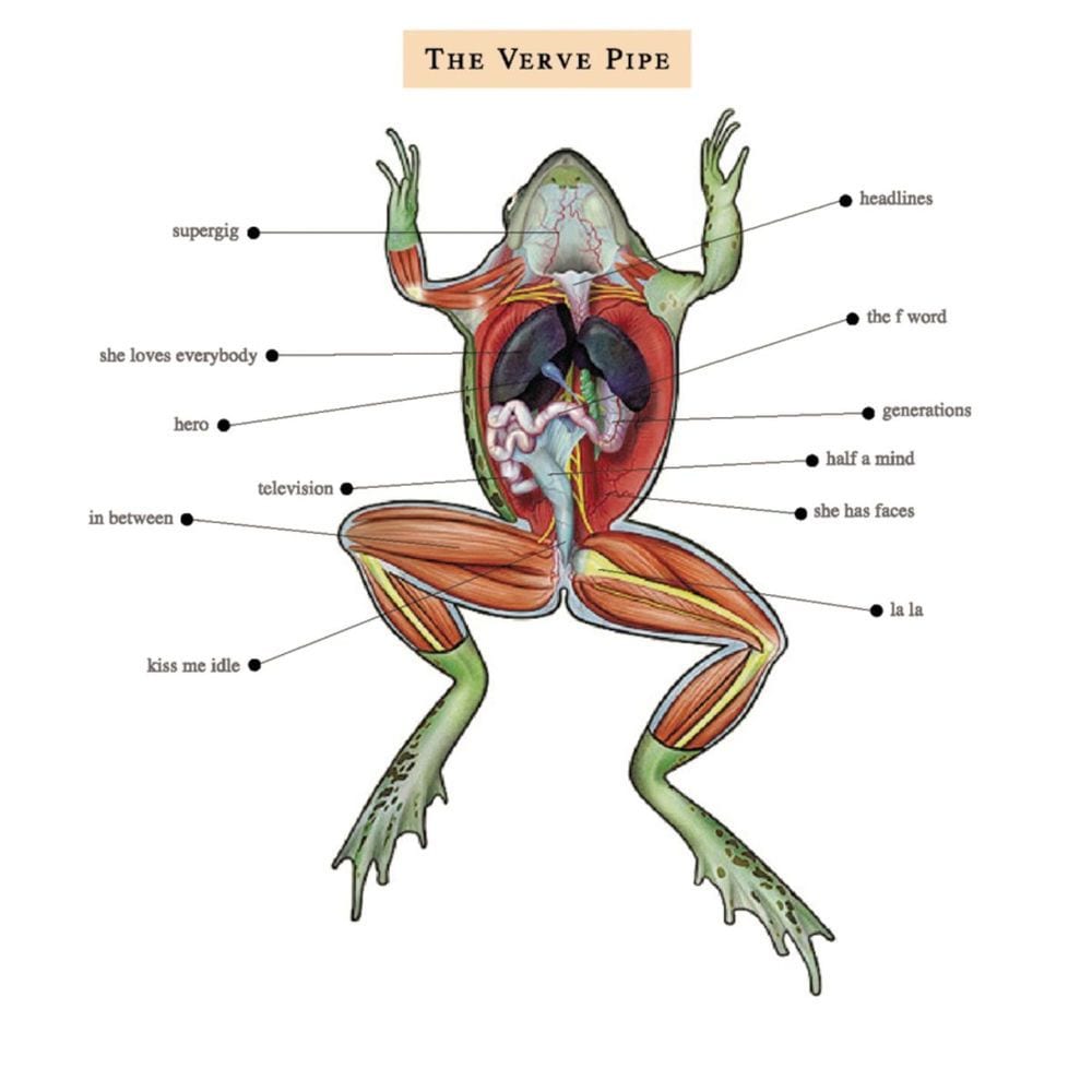 The Verve Pipe cover