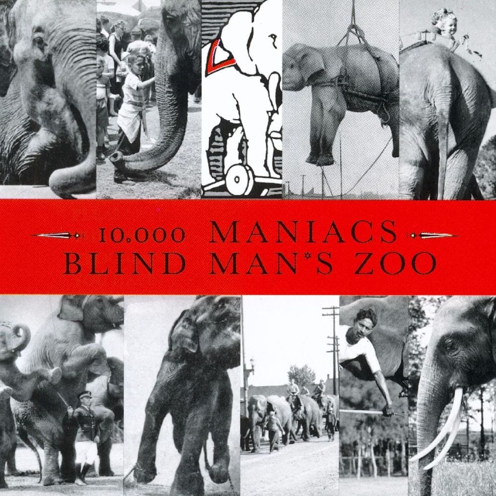 Blind Man's Zoo cover
