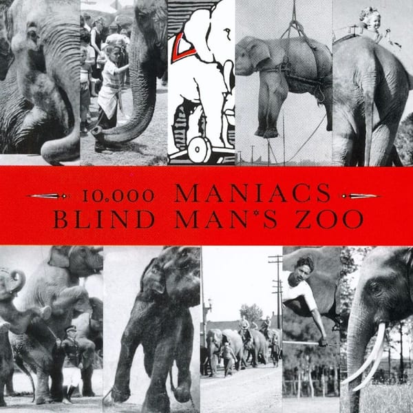 Blind Man's Zoo cover
