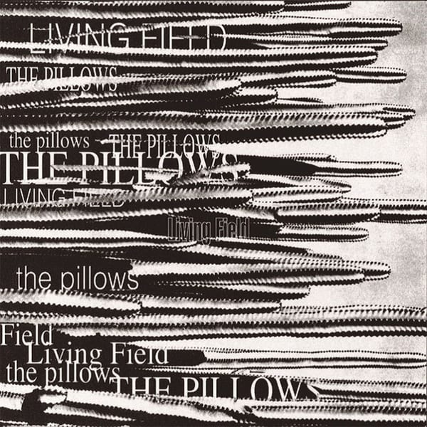 LIVING FIELD cover