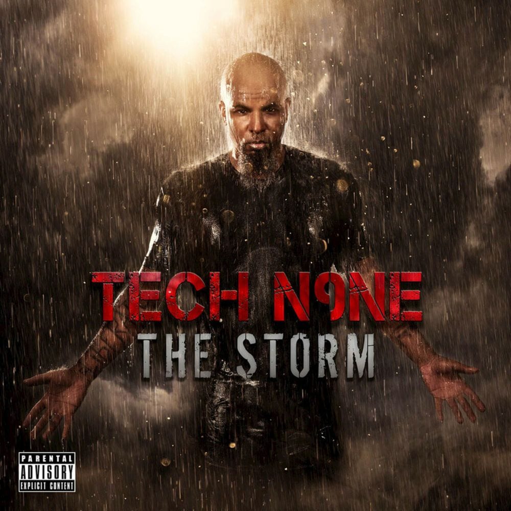 The Storm cover