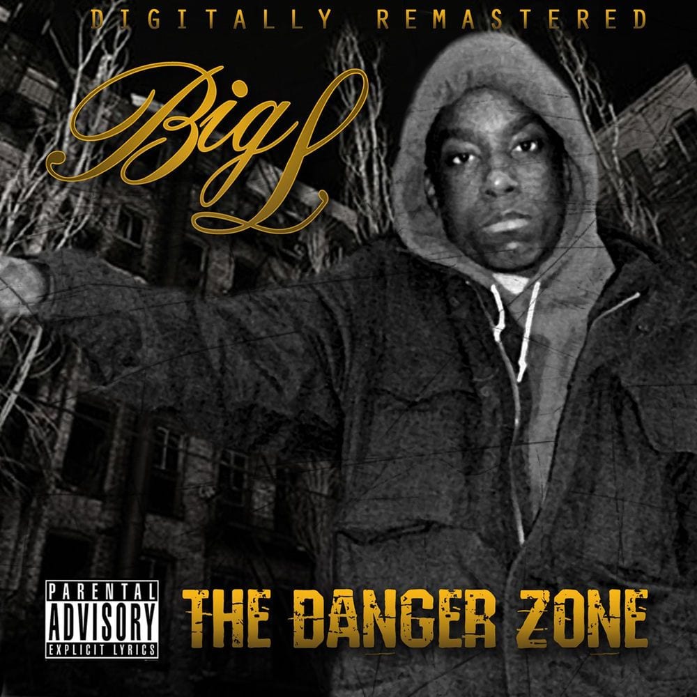 The Danger Zone cover