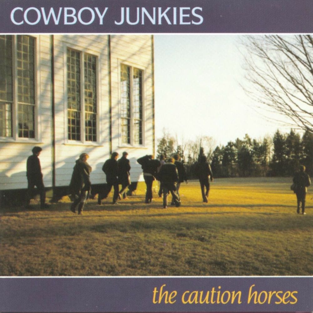 The Caution Horses cover