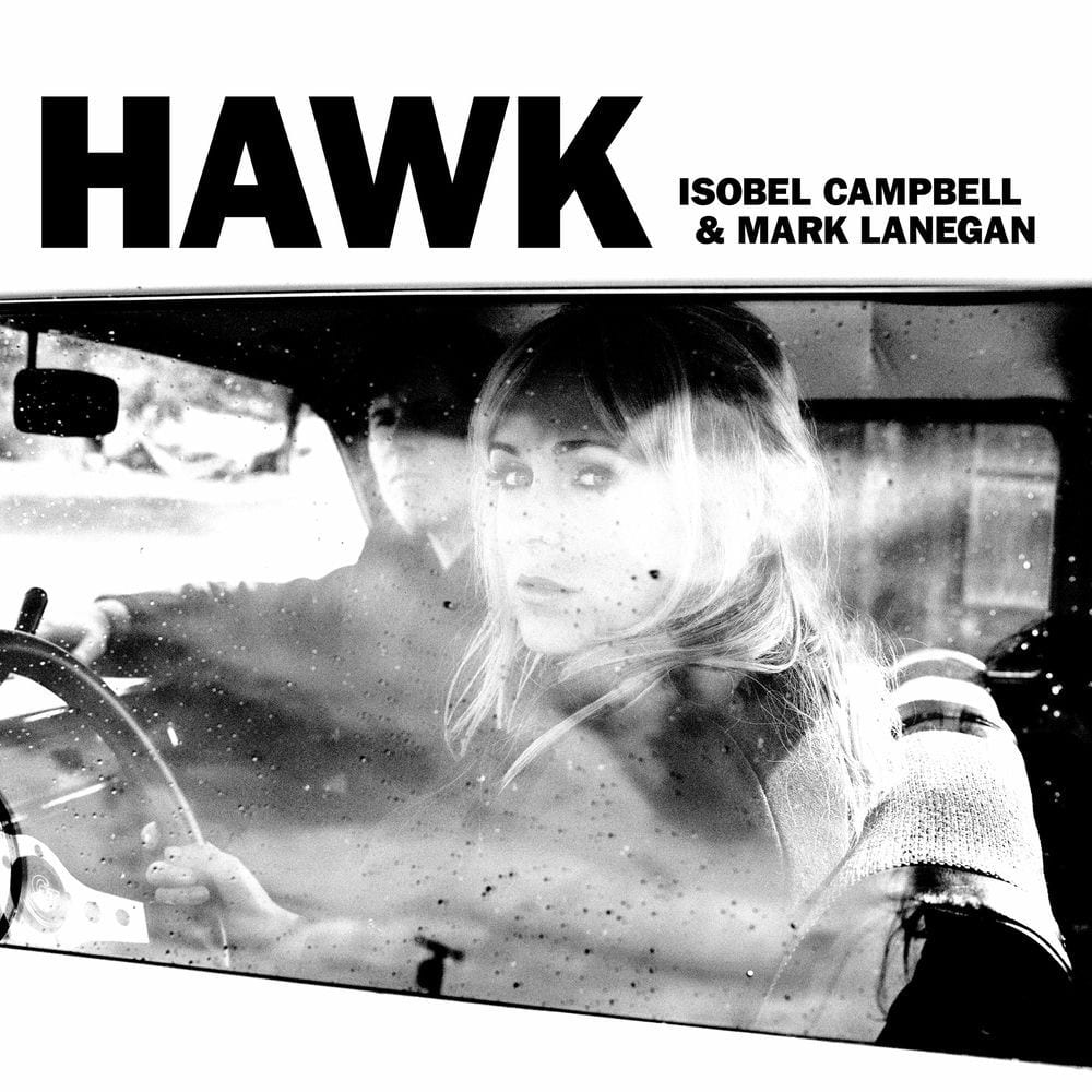 Hawk cover
