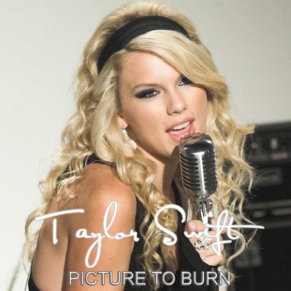 Picture to Burn cover