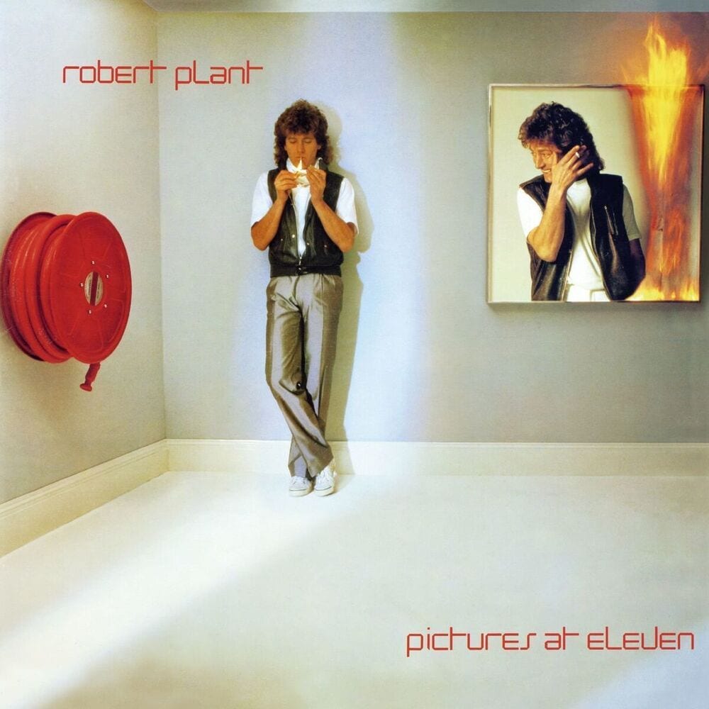 Pictures at Eleven cover