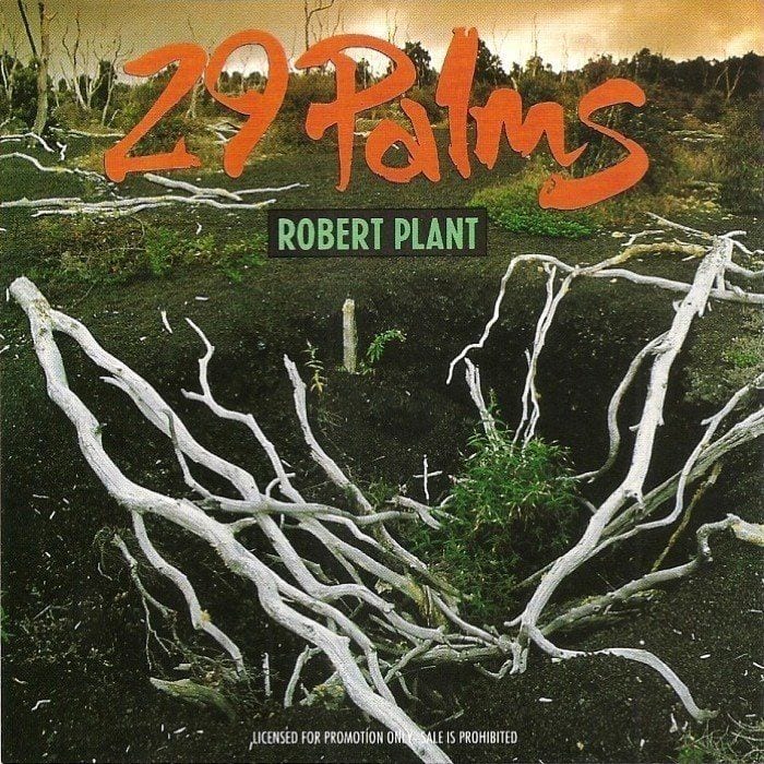 29 Palms cover