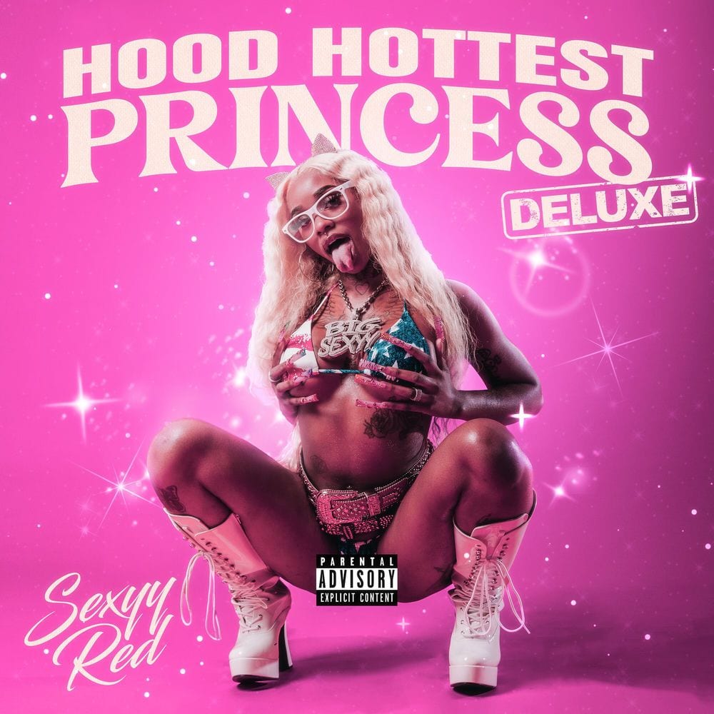 Hood Hottest Princess cover