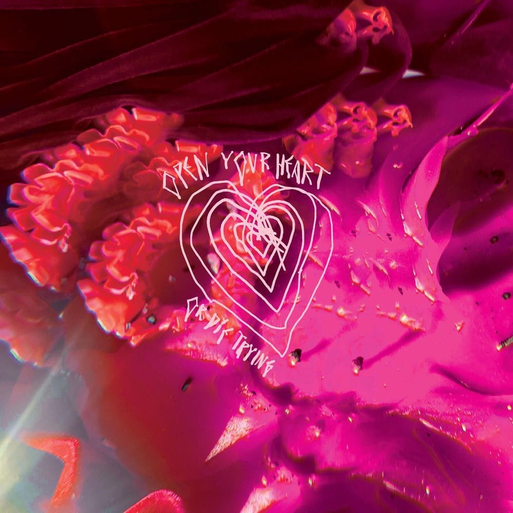 Open Your Heart or Die Trying cover