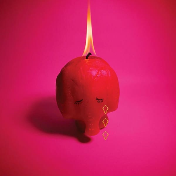 Year of the Snake album cover
