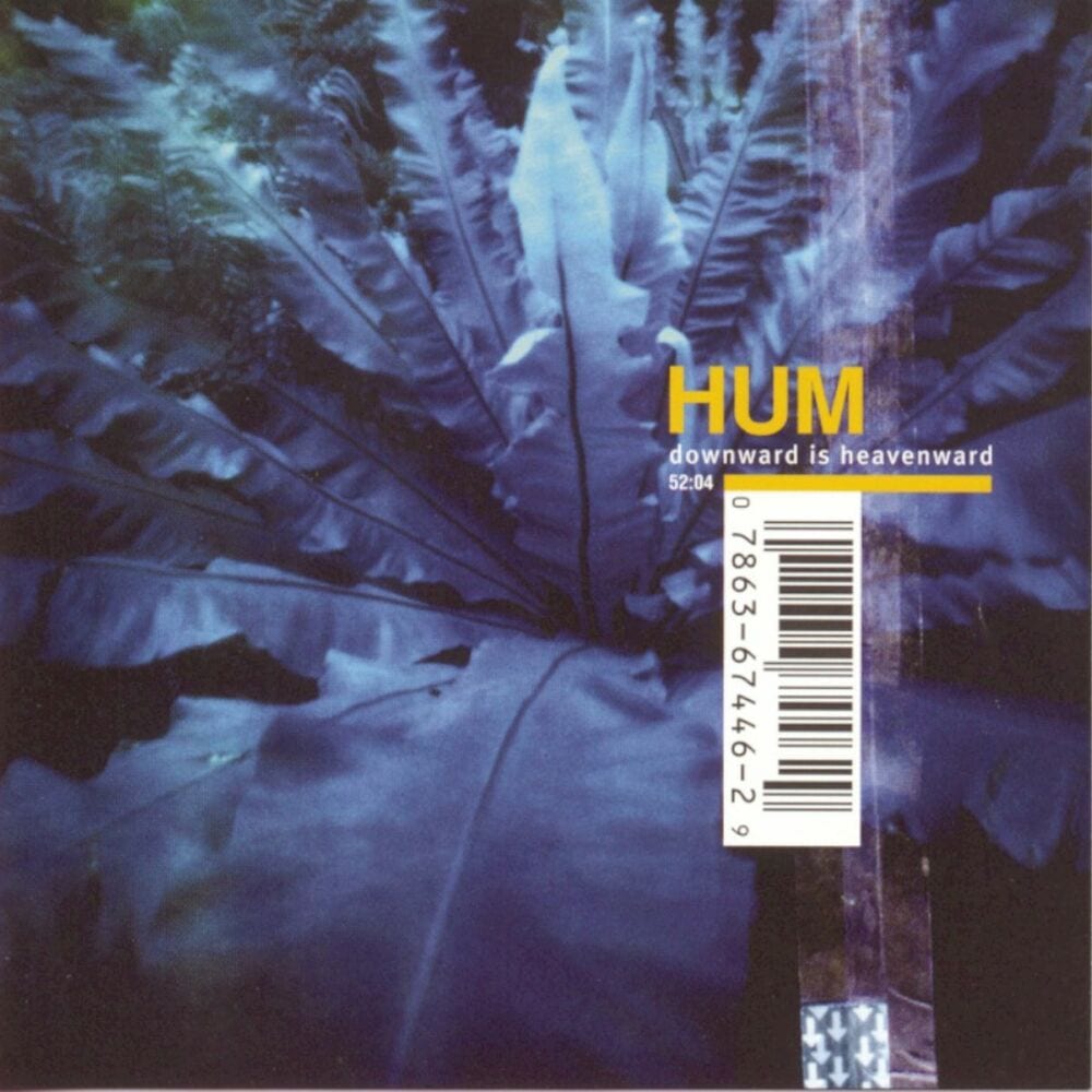 Downward Is Heavenward cover
