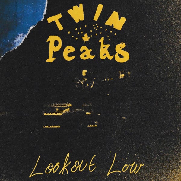 Lookout Low cover