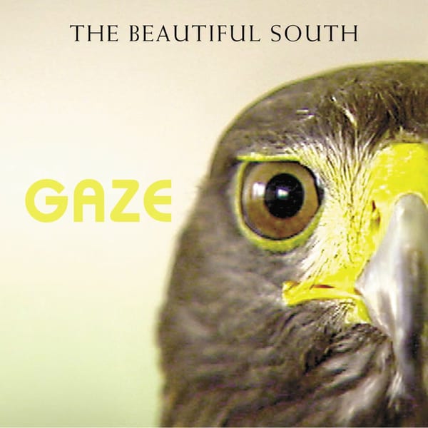 Gaze cover