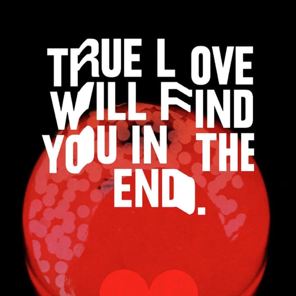 True Love Will Find You in the End cover