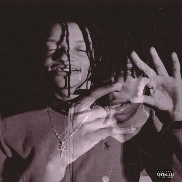 NezzusDestroyed cover