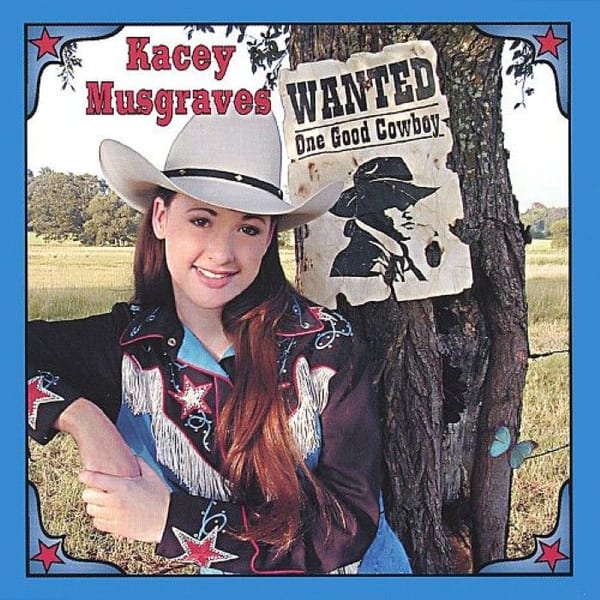 Wanted: One Good Cowboy cover