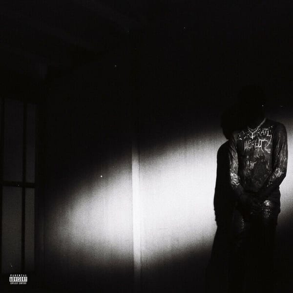 NO STYLIST cover
