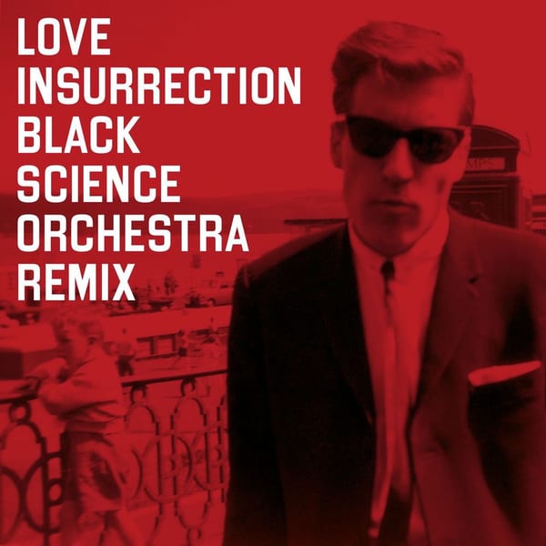Love Insurrection (Black Science Orchestra Remix) cover