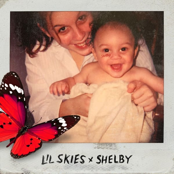 Shelby cover