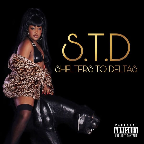 S.T.D cover