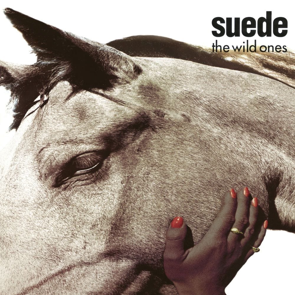 The Wild Ones cover