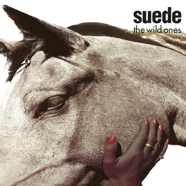 The Wild Ones album cover