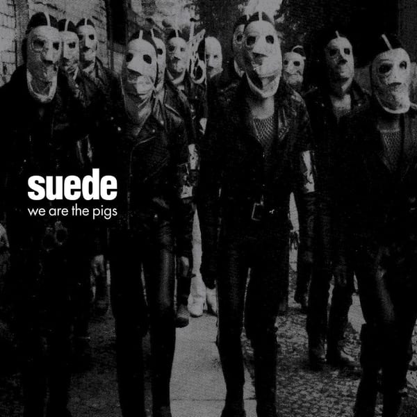 We Are the Pigs album cover