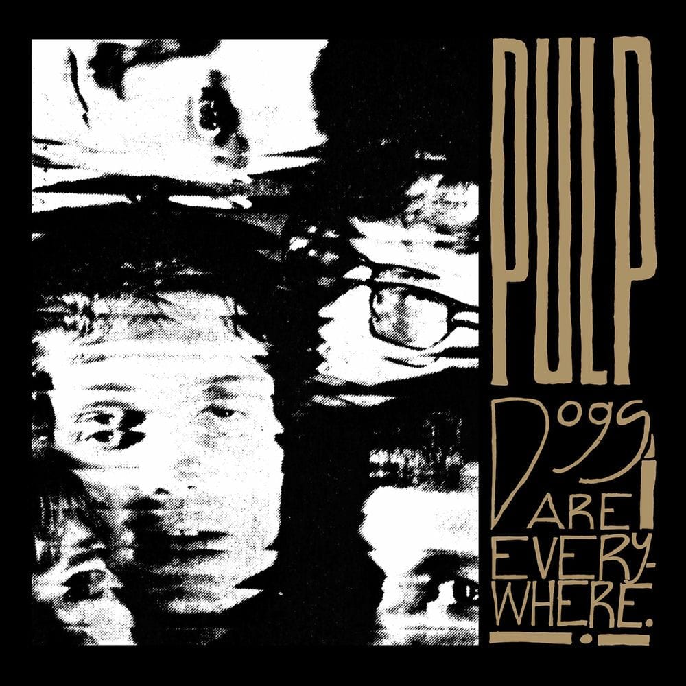 Dogs Are Everywhere cover