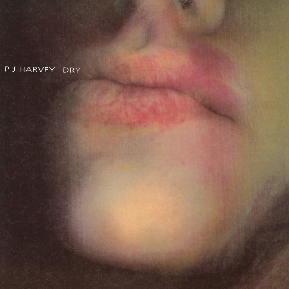 Dry cover