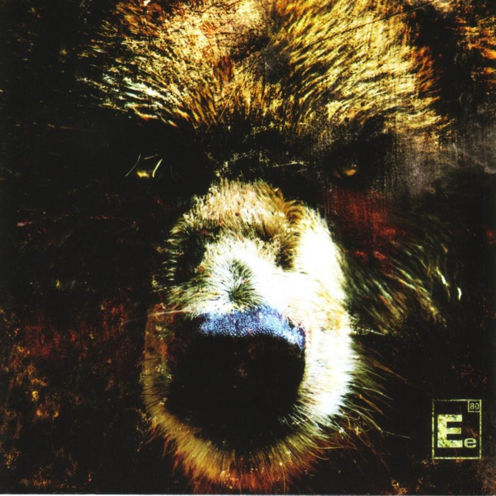 The Bear cover