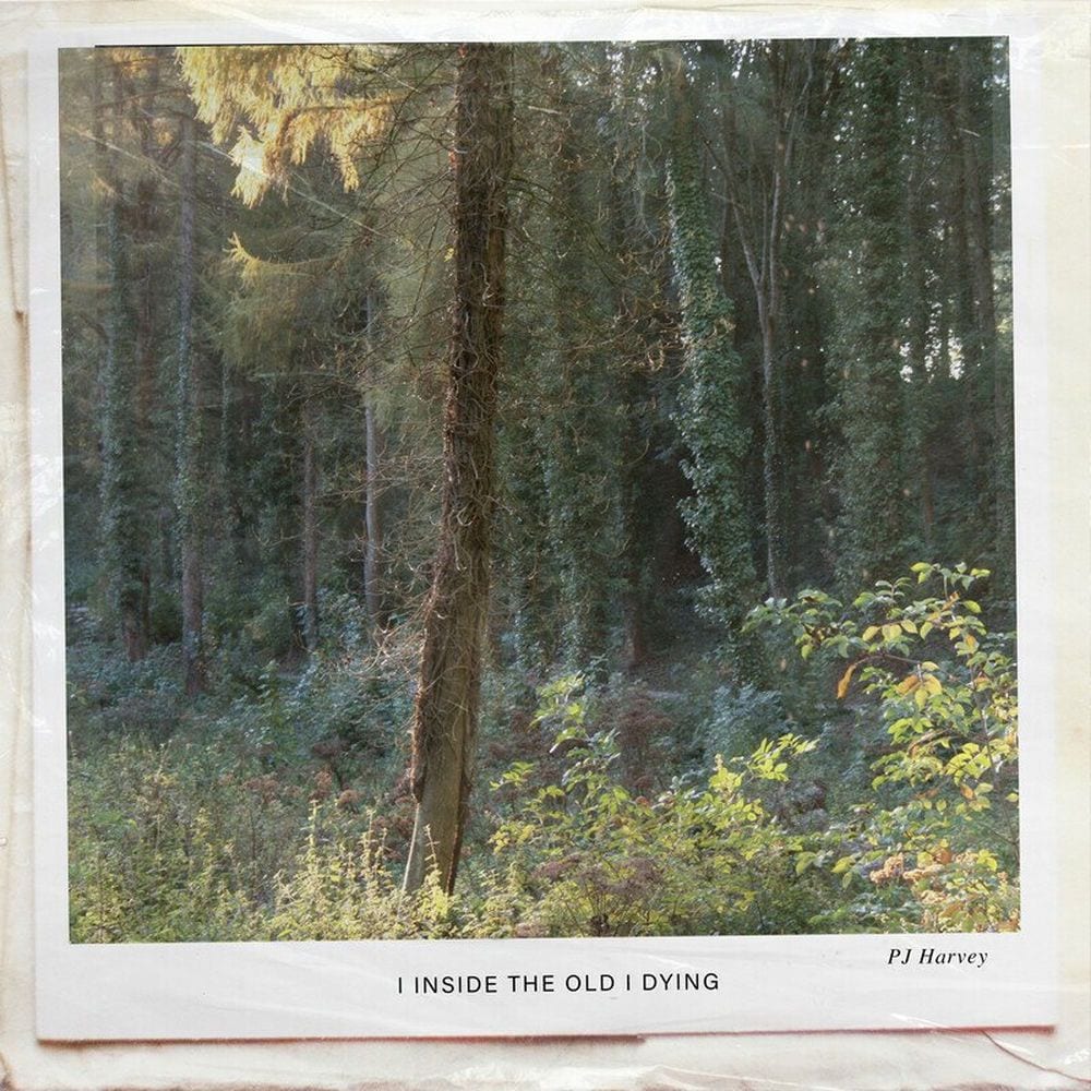 I Inside the Old I Dying cover