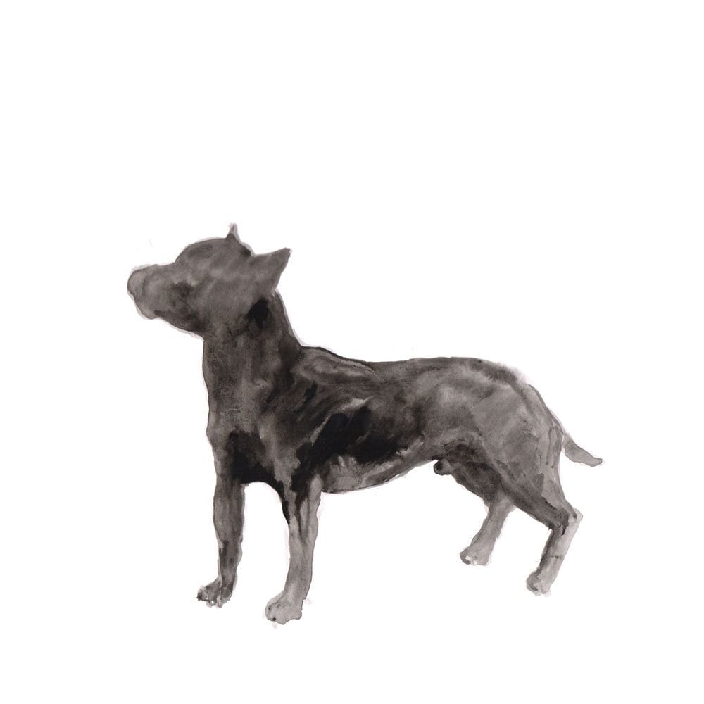 A Dog Called Money / I'll Be Waiting cover