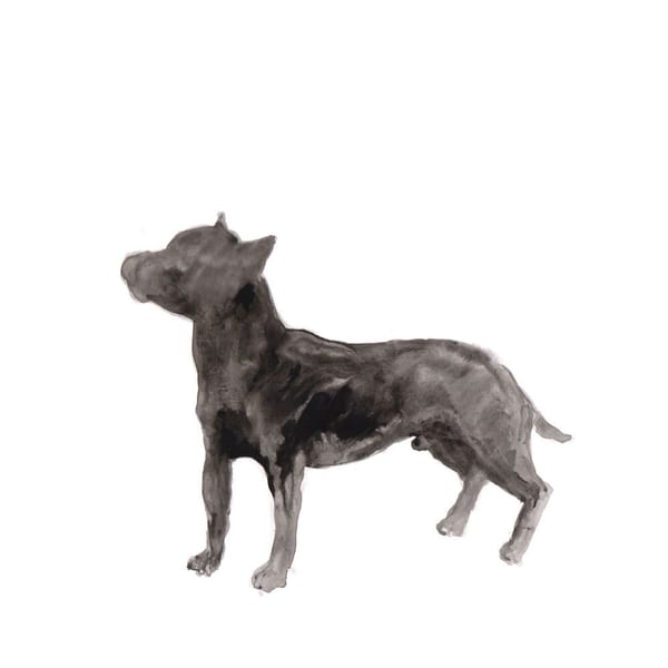 A Dog Called Money / I'll Be Waiting cover