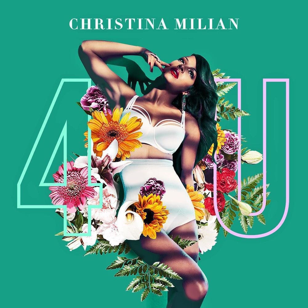 4U cover