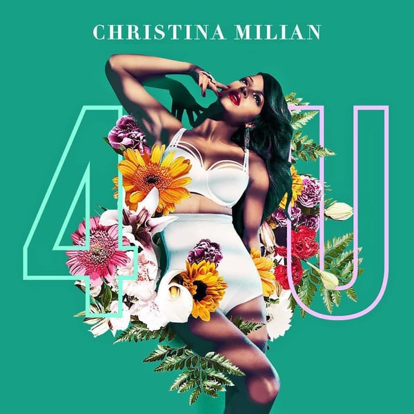 4U cover