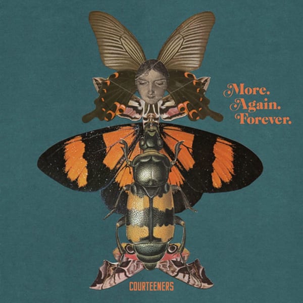 More. Again. Forever. cover