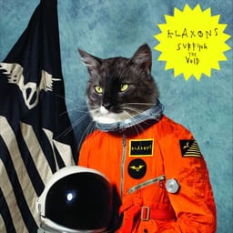 Surfing the Void cover art