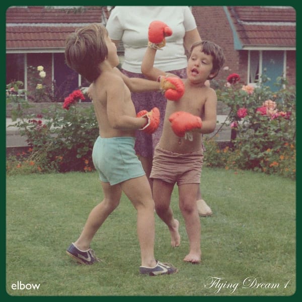 Flying Dream 1 album cover
