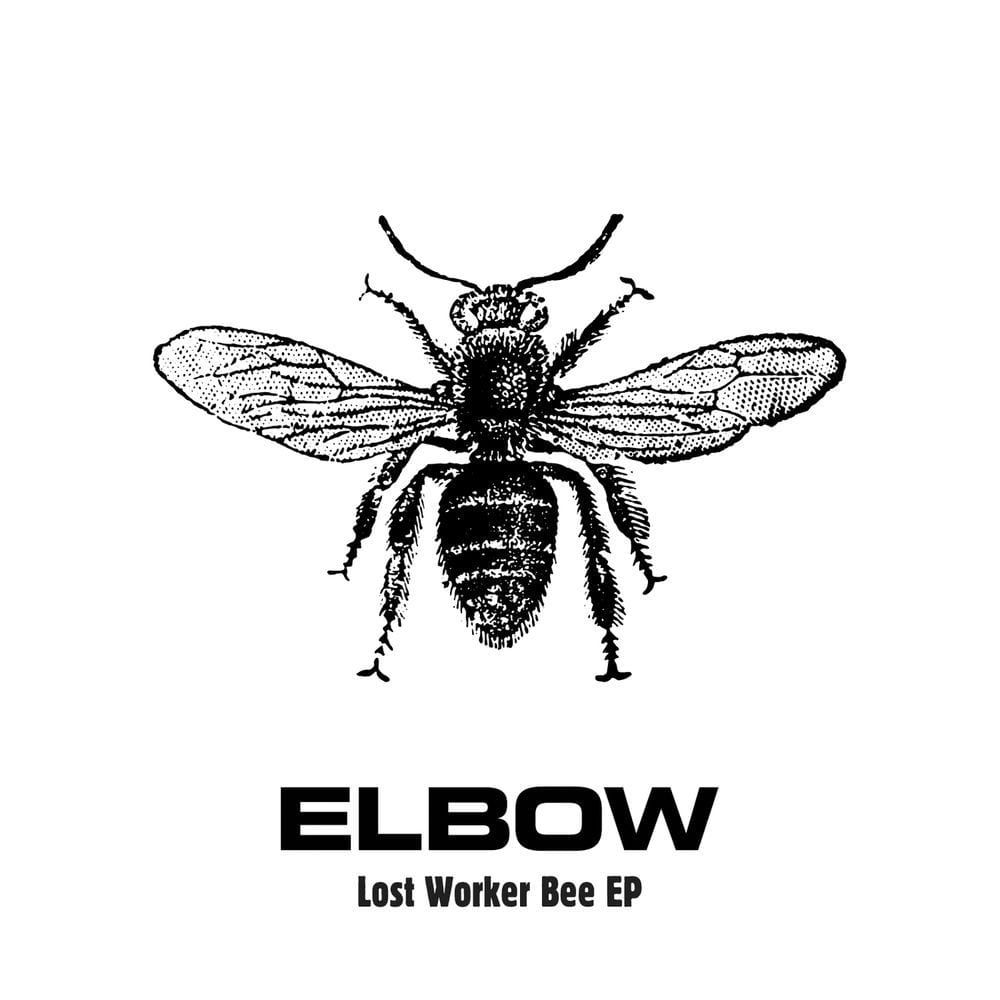 Lost Worker Bee - EP cover